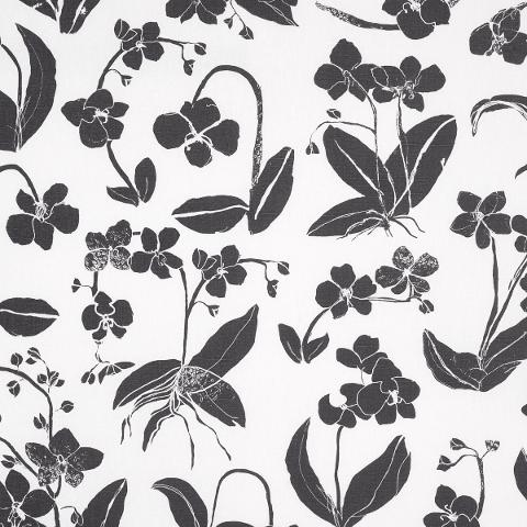 ORCHIDS HAVE DREAMS