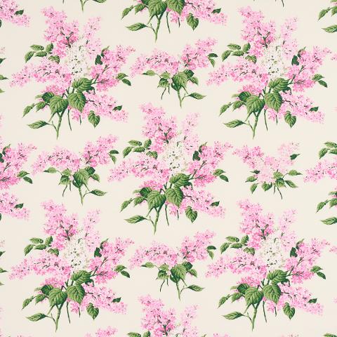 PROUST'S LILACS
