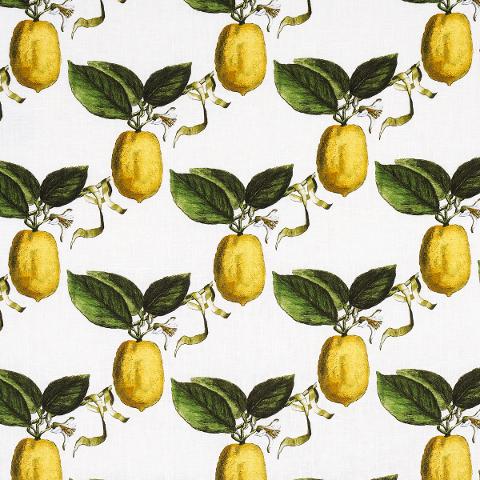 Le Citron