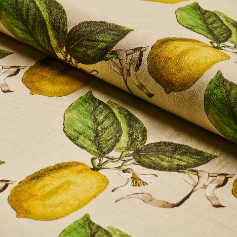 Le Citron