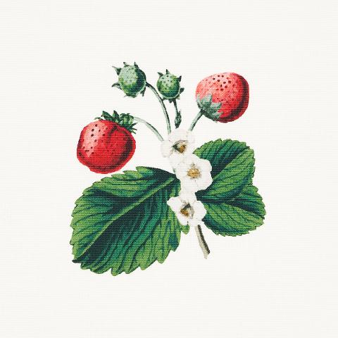 Strawberry Hill
