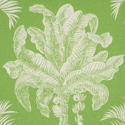 Grand Palms Indoor/Outdoor