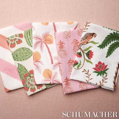Clarabella Palm Indoor/Outdoor