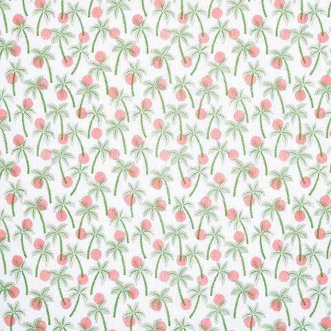 CLARABELLA PALM INDOOR/OUTDOOR