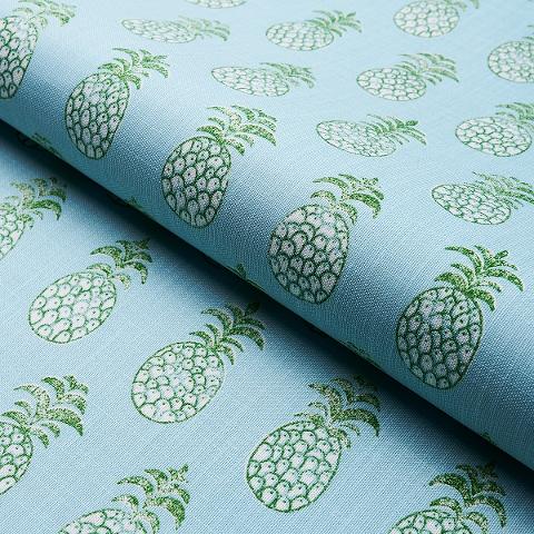 Piña Cove Indoor/Outdoor