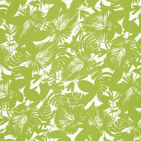 PALISADES PALM INDOOR/OUTDOOR