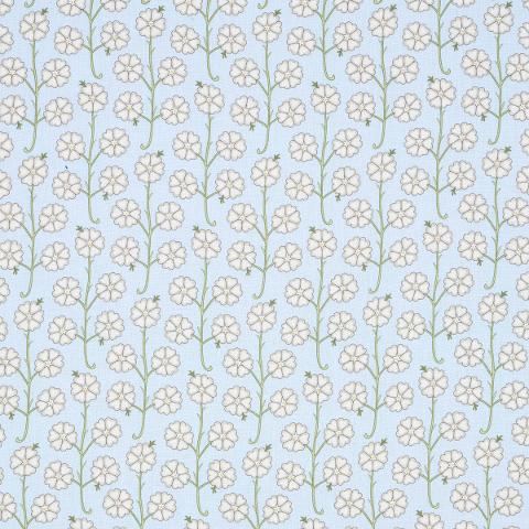 Gardenia