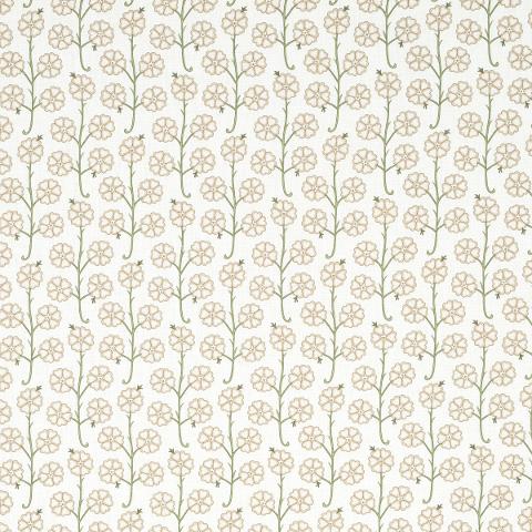 Gardenia