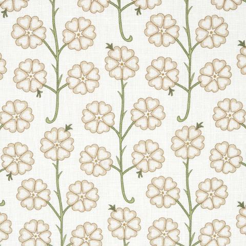 Gardenia
