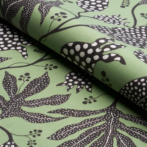 Polka Dot Jungle