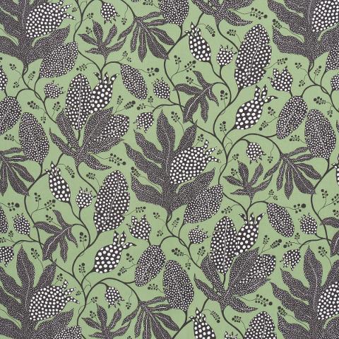 POLKA DOT JUNGLE