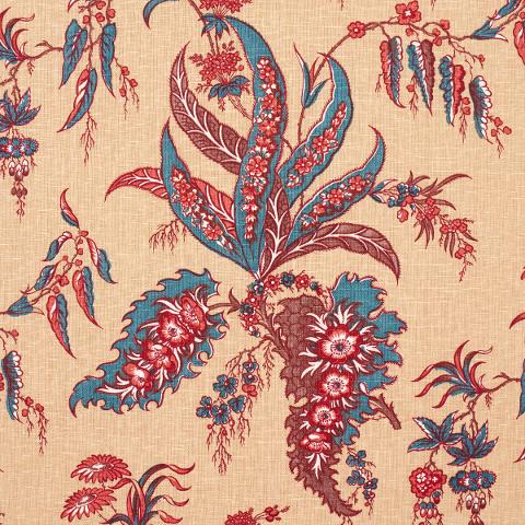 Apolline Botanical