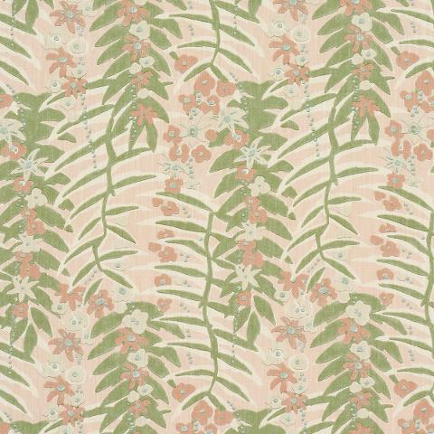 ASHBEE BOTANICAL