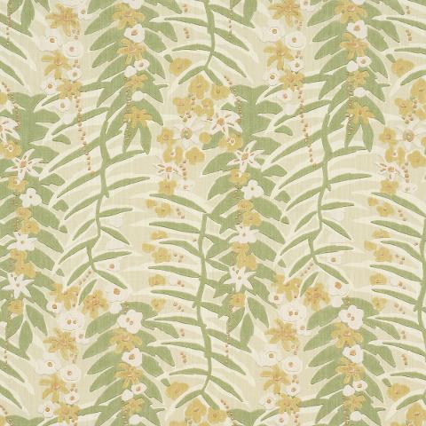 ASHBEE BOTANICAL