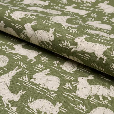 Cottontails