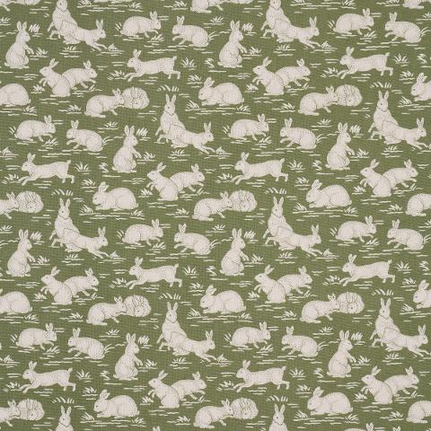 Cottontails
