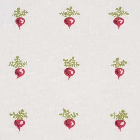 MY LITTLE RADISH