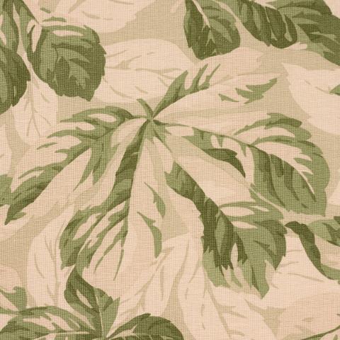 Arboreal