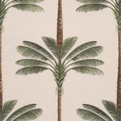 A Palm Is A Palm Print