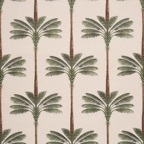 A PALM IS A PALM PRINT