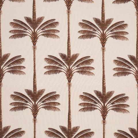A PALM IS A PALM PRINT