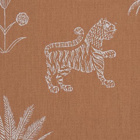 Tiger Palm Silhouette Outdoor