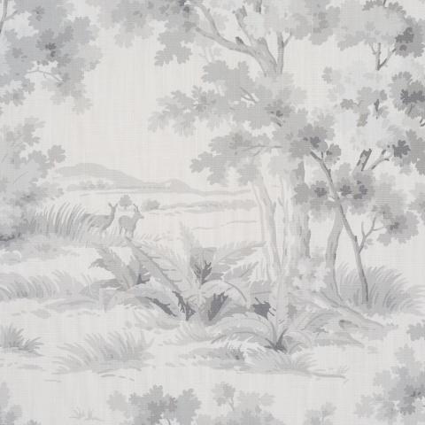 Countryside Morning