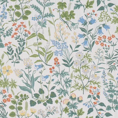 Flora