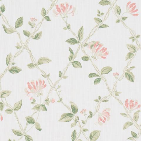 HONEYSUCKLE