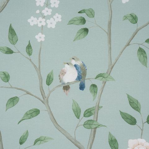 Paradise Birds