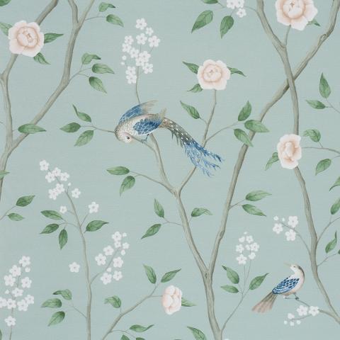 PARADISE BIRDS