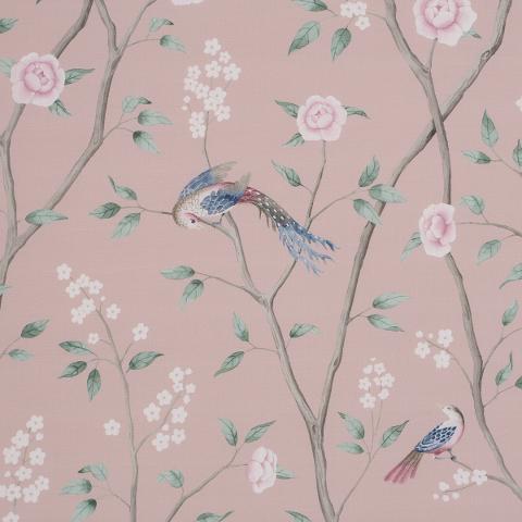 PARADISE BIRDS
