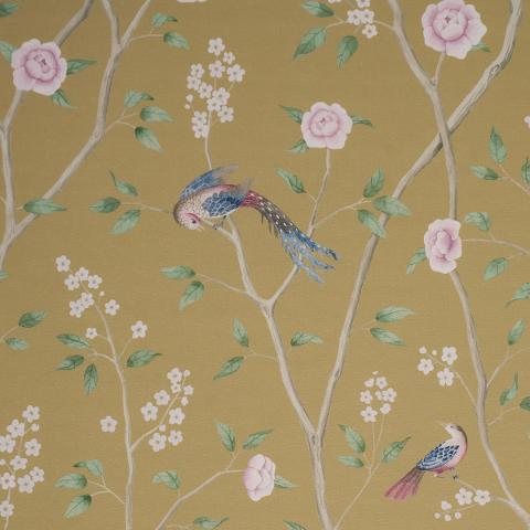 PARADISE BIRDS