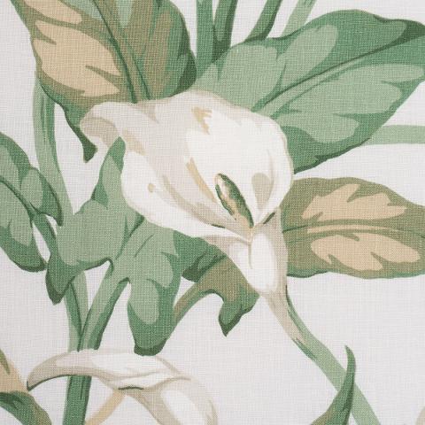 Arum Lilies
