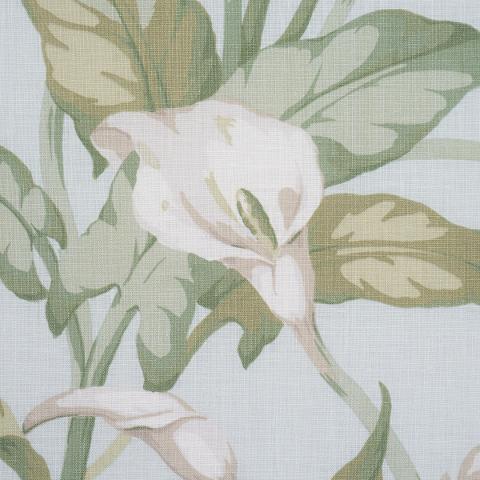 Arum Lilies