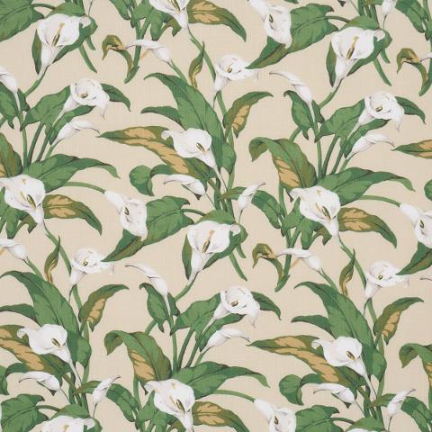 Arum Lilies