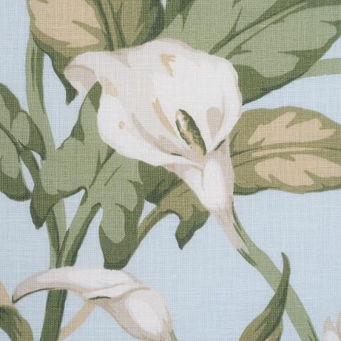 Arum Lilies