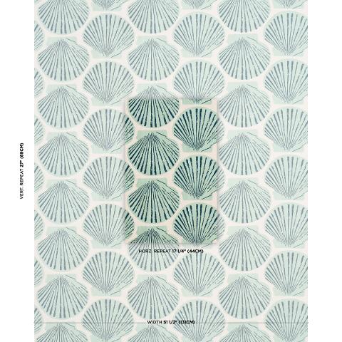 Scallop Shell