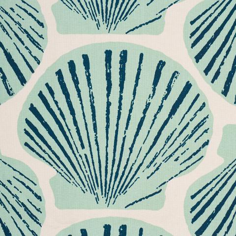 Scallop Shell
