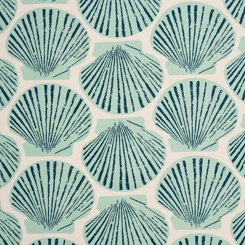 SCALLOP SHELL