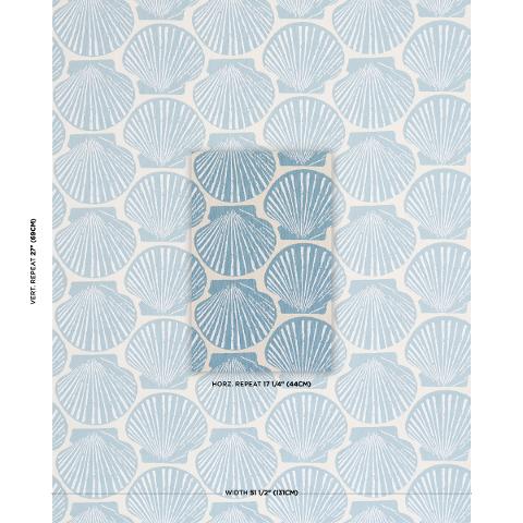 Scallop Shell