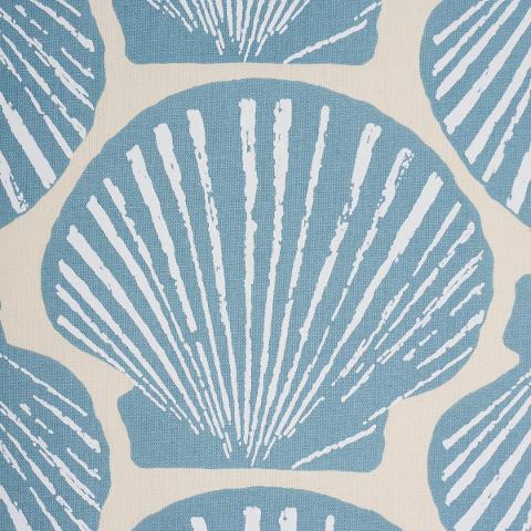 Scallop Shell