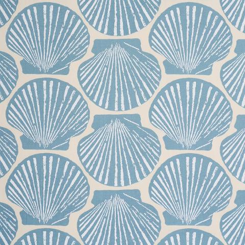 SCALLOP SHELL