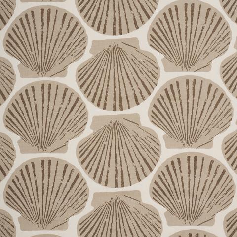 SCALLOP SHELL