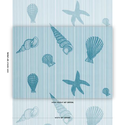 Seashells