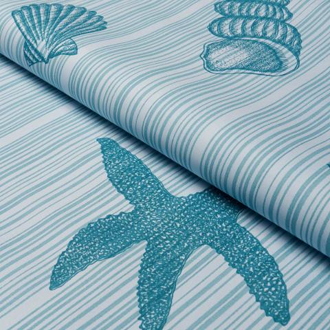 Seashells