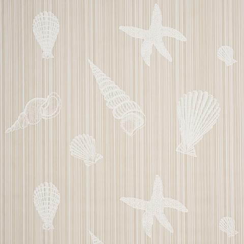 SEASHELLS