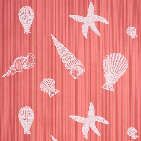 SEASHELLS