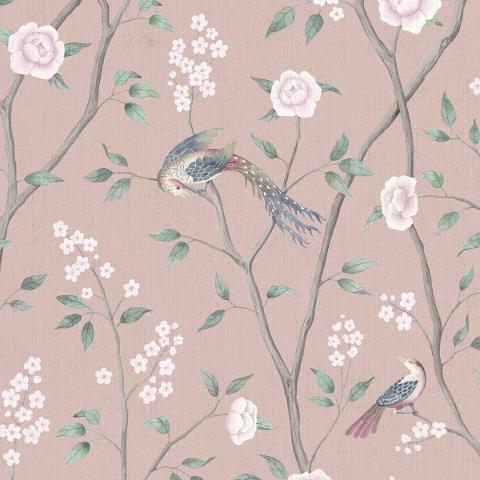Paradise Birds