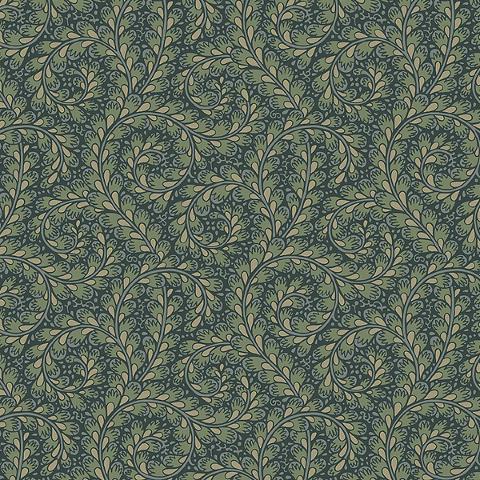 Wild Ferns